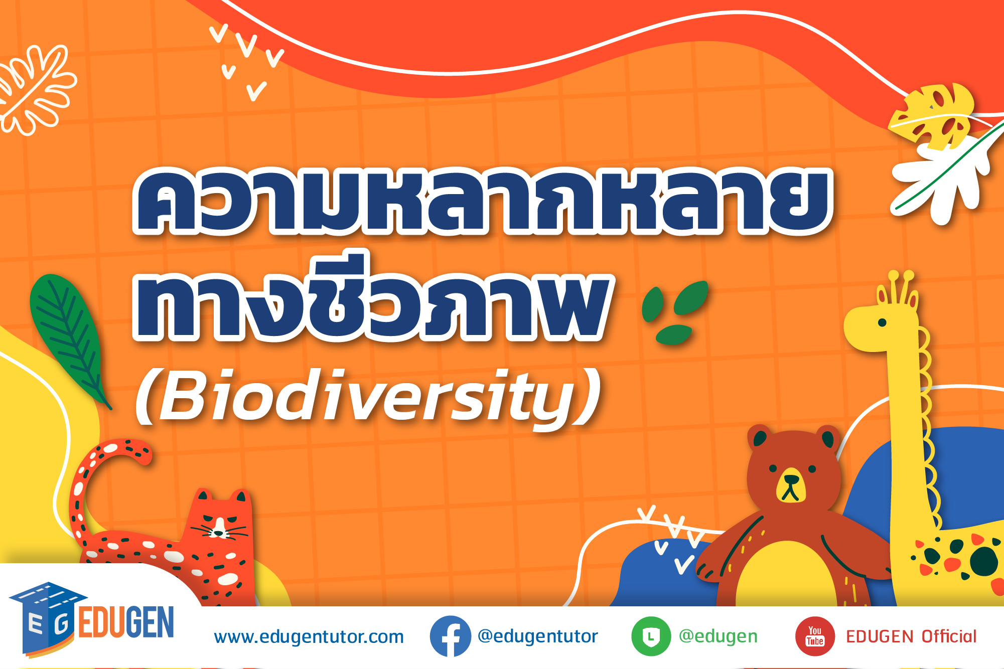 ความหลากหลายทางชีวภาพ Biodiversity